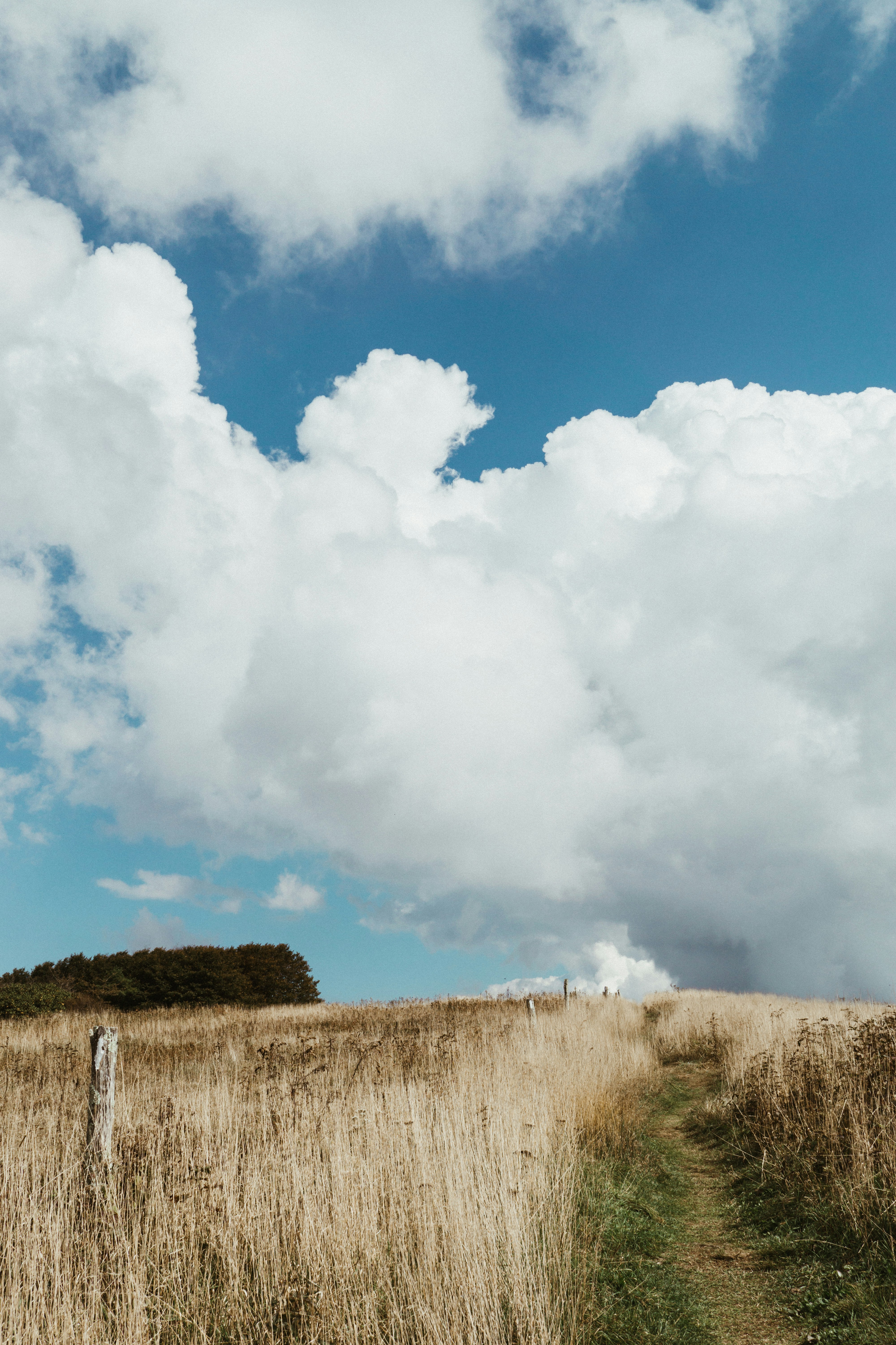 Photo by kirkthornton