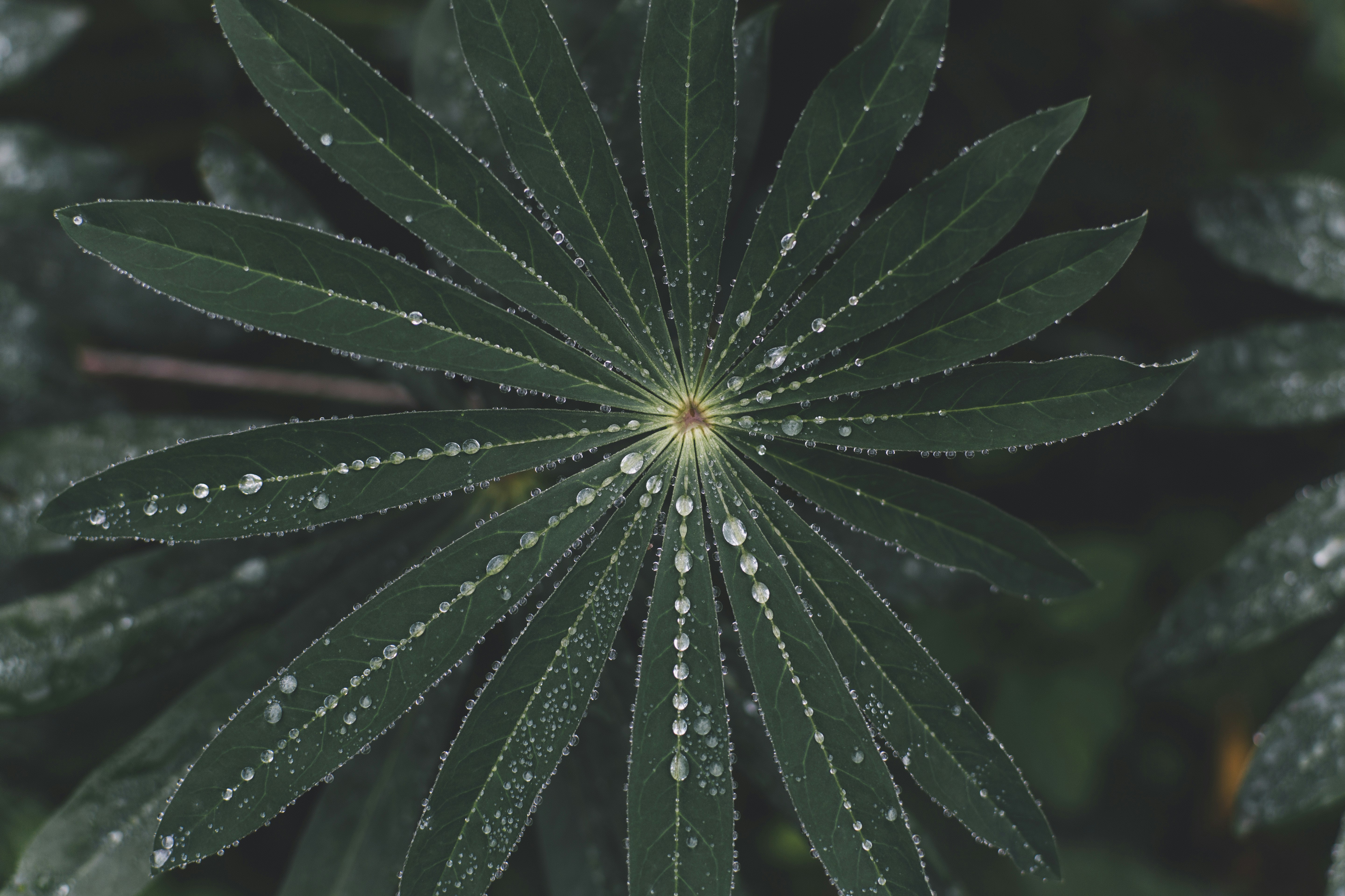 Photo by markusspiske