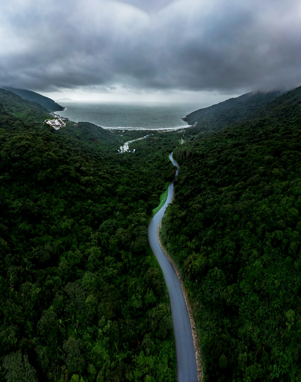 aerial view of river between forest