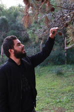 Expert examining forest health and managing pest control measures.