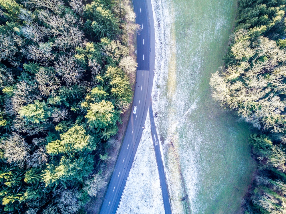 Véhicule passant sur la route près d’arbres en plongée