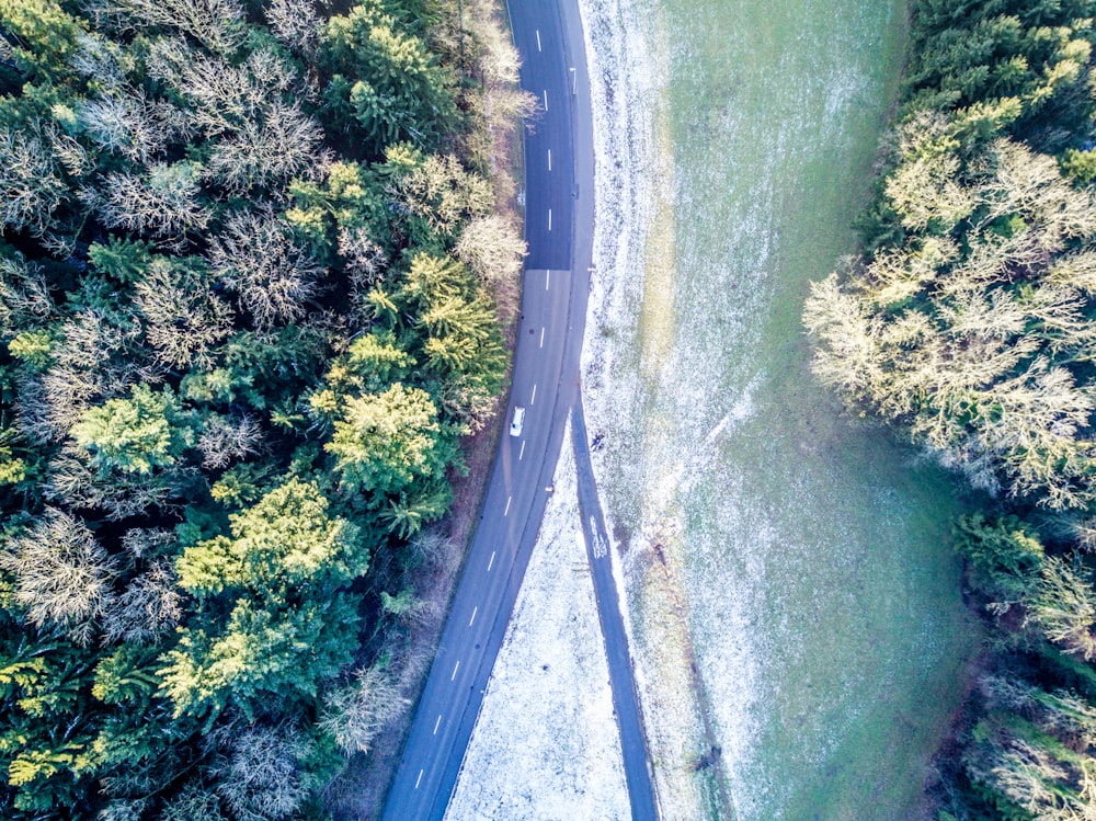 vehicle passing on road near trees in high-angle photography
