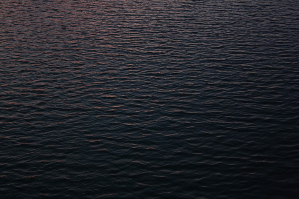 body of water during daytime