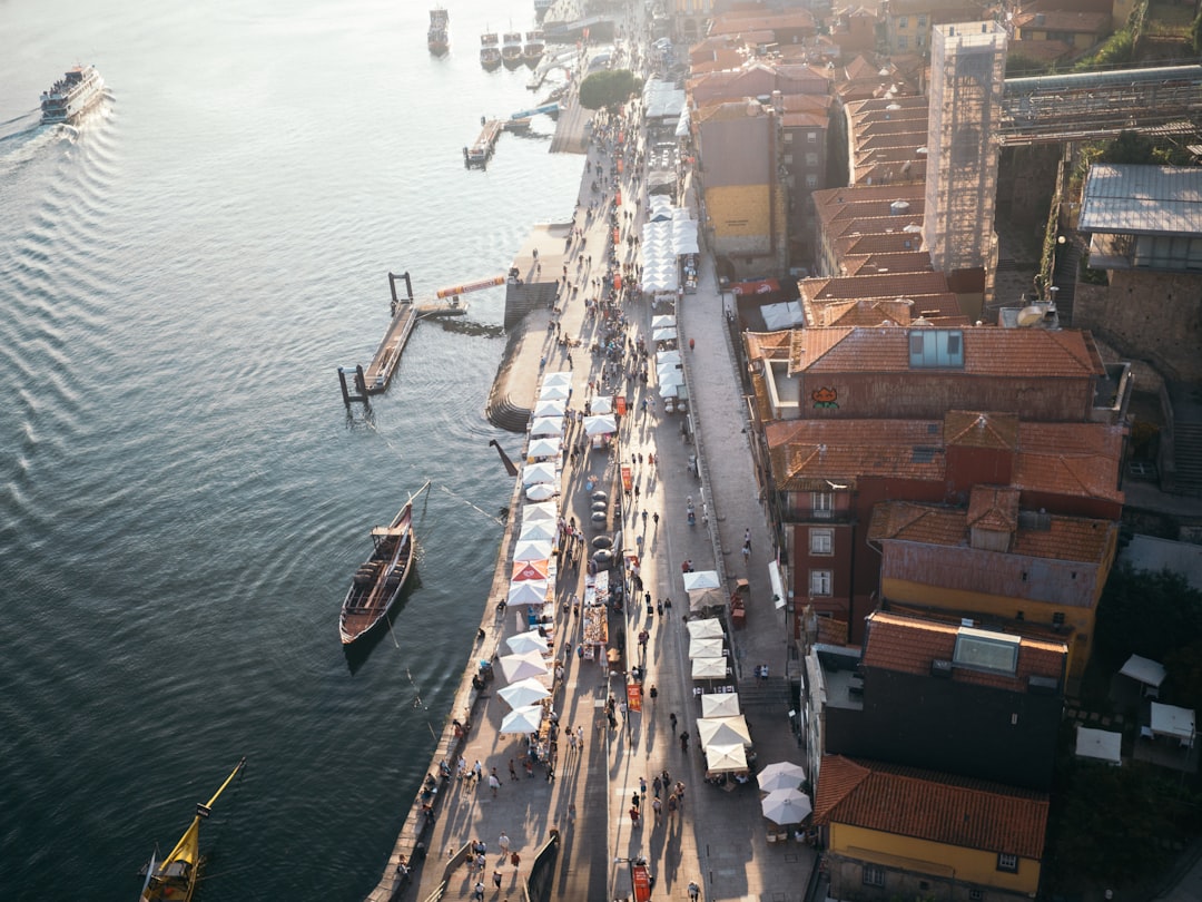 high-angle photography of houses beside body of water