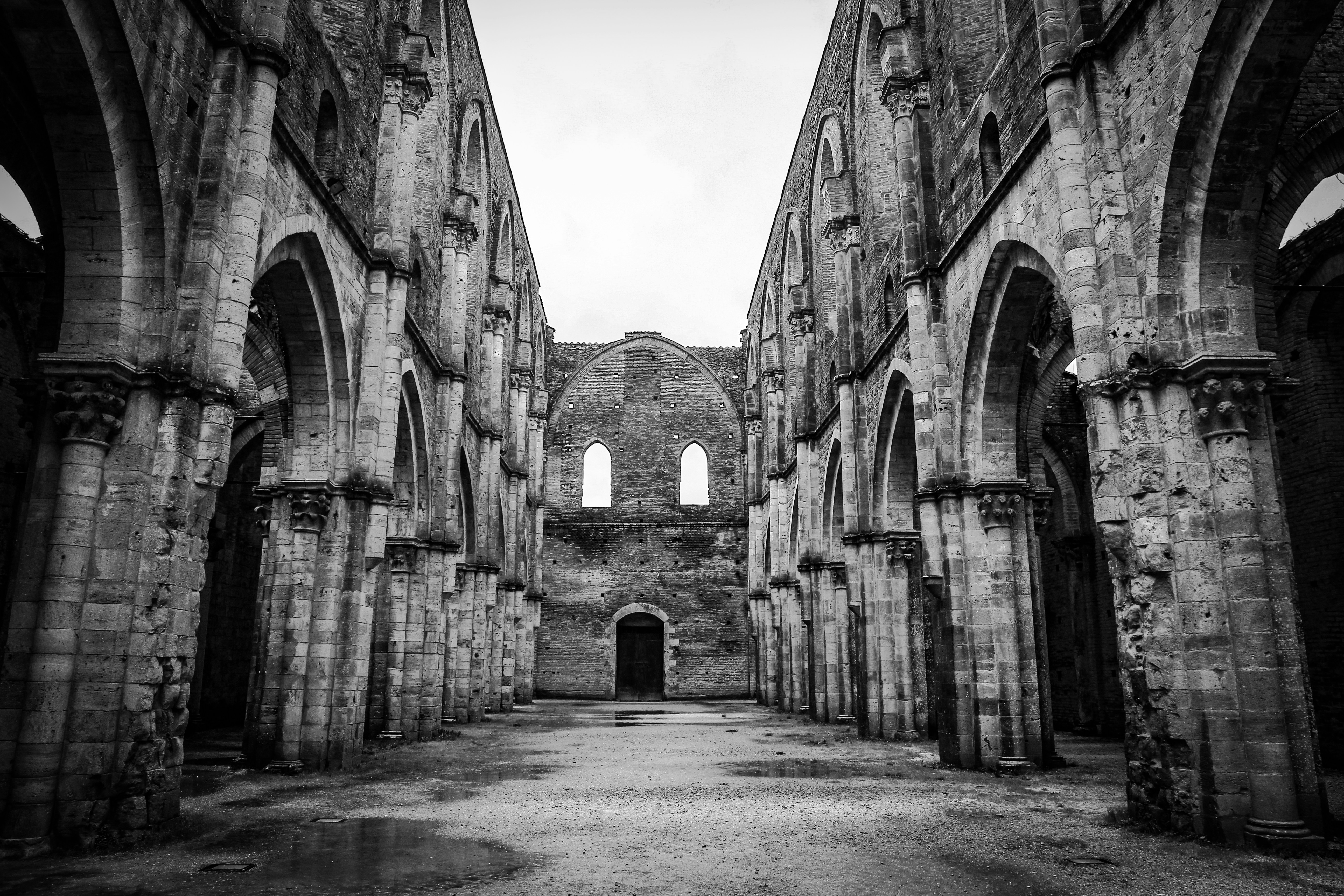 Photo by francesco_ungaro