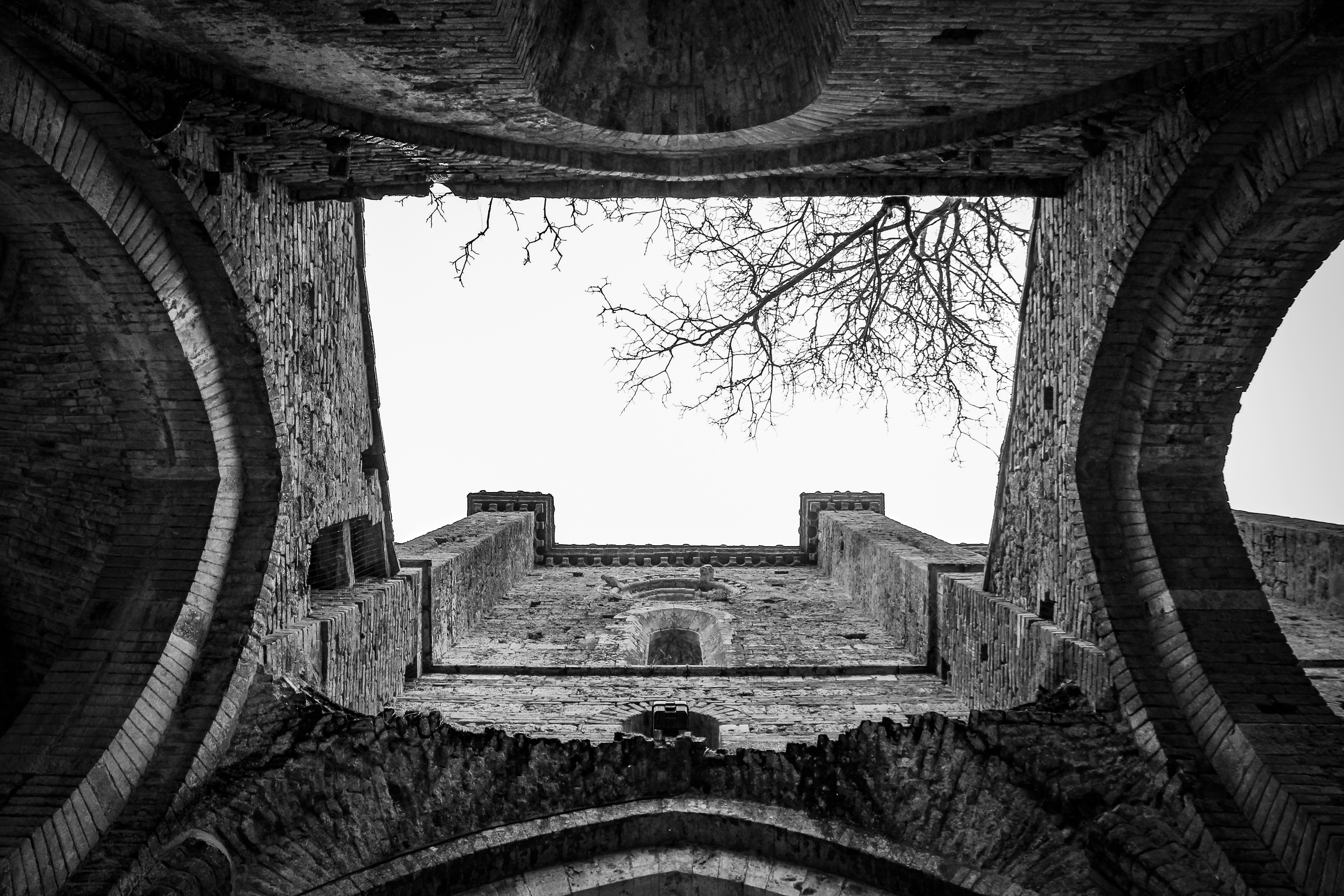 Photo by francesco_ungaro