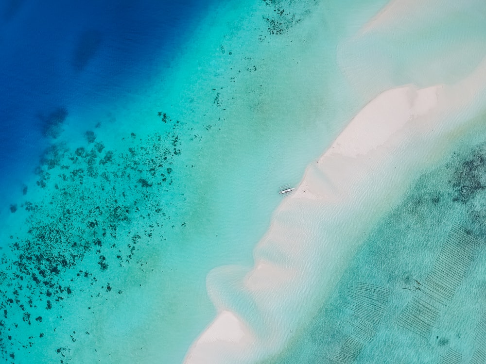 青と青緑色の海の写真