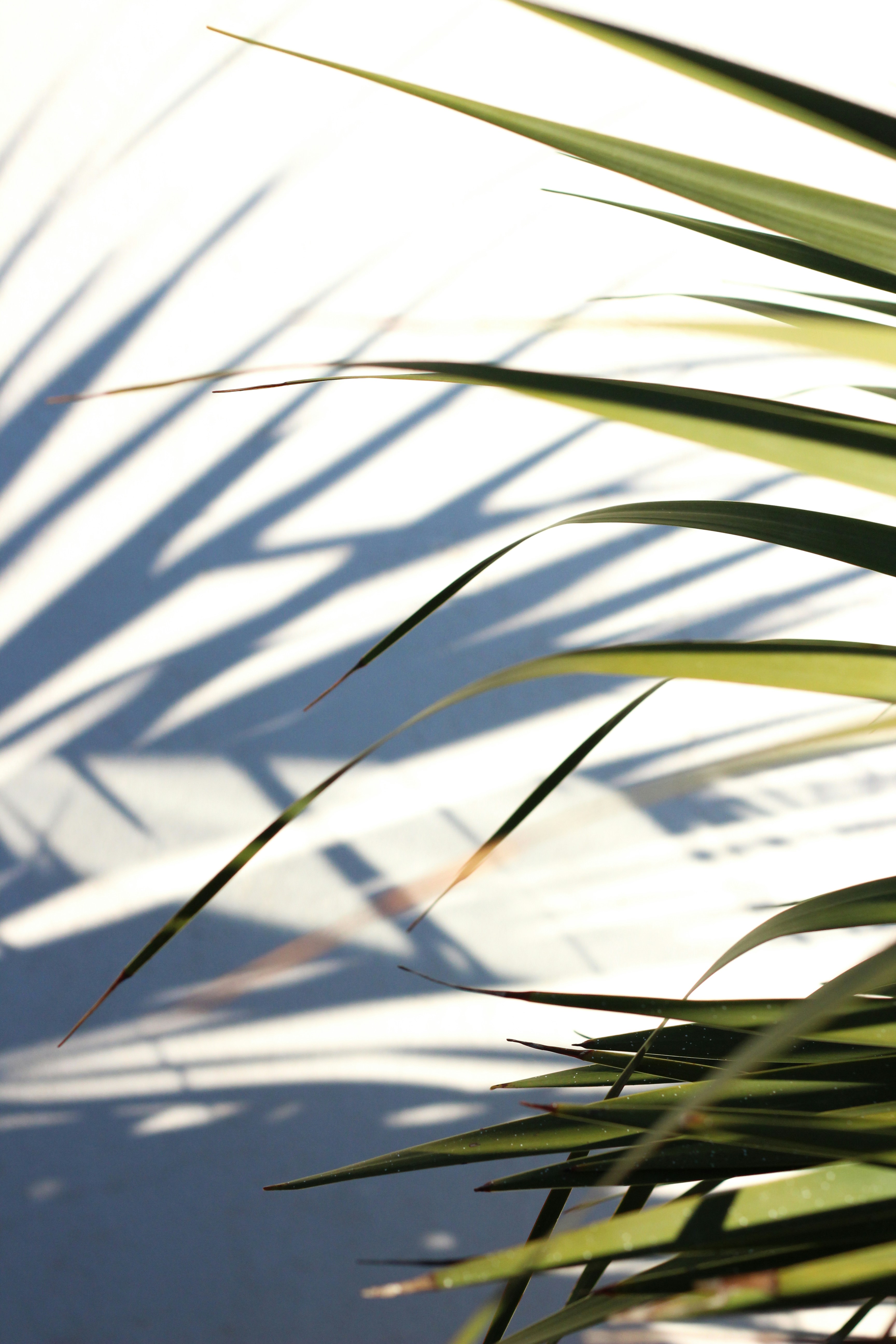 Photo by lucyjoyparis