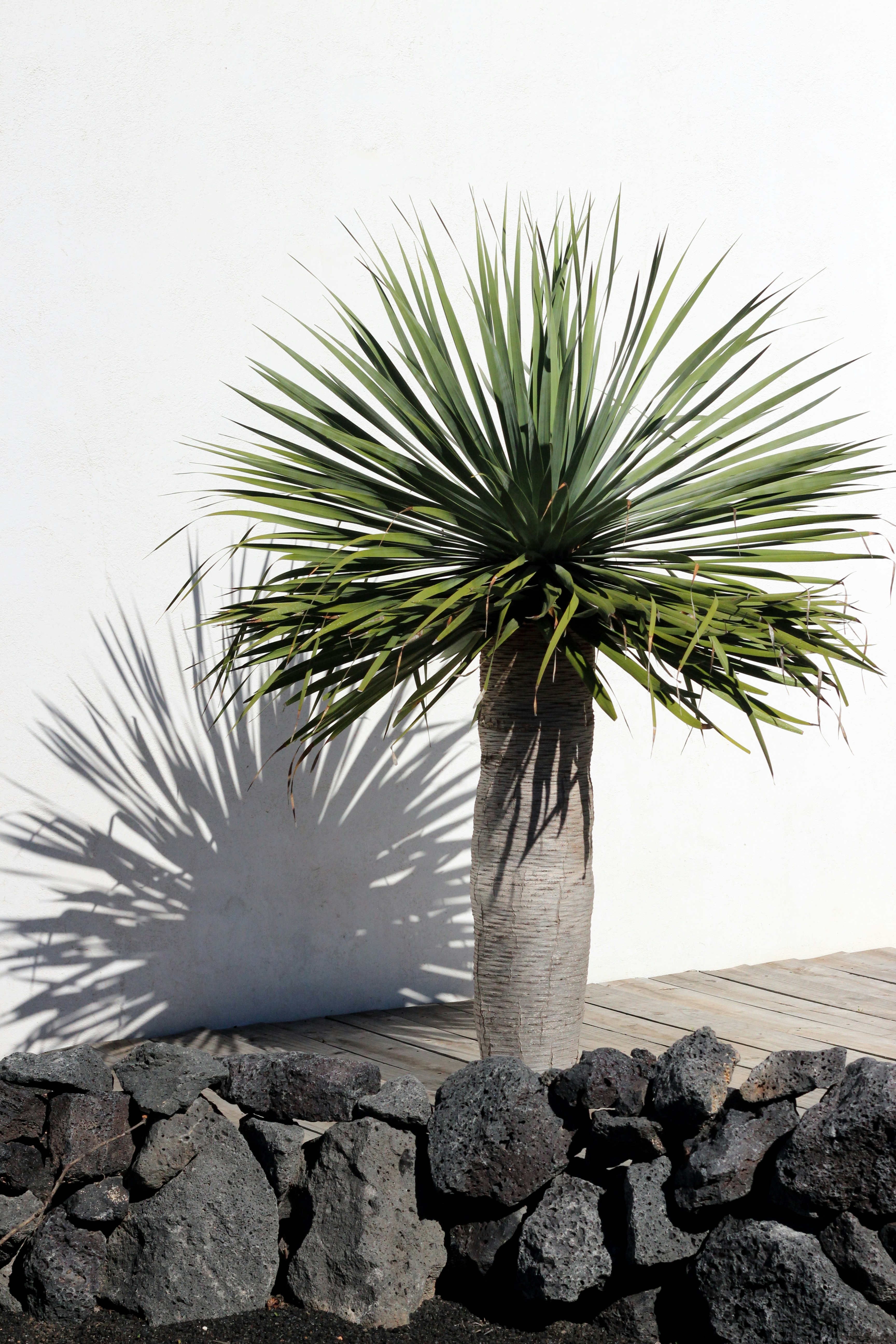 Photo by lucyjoyparis