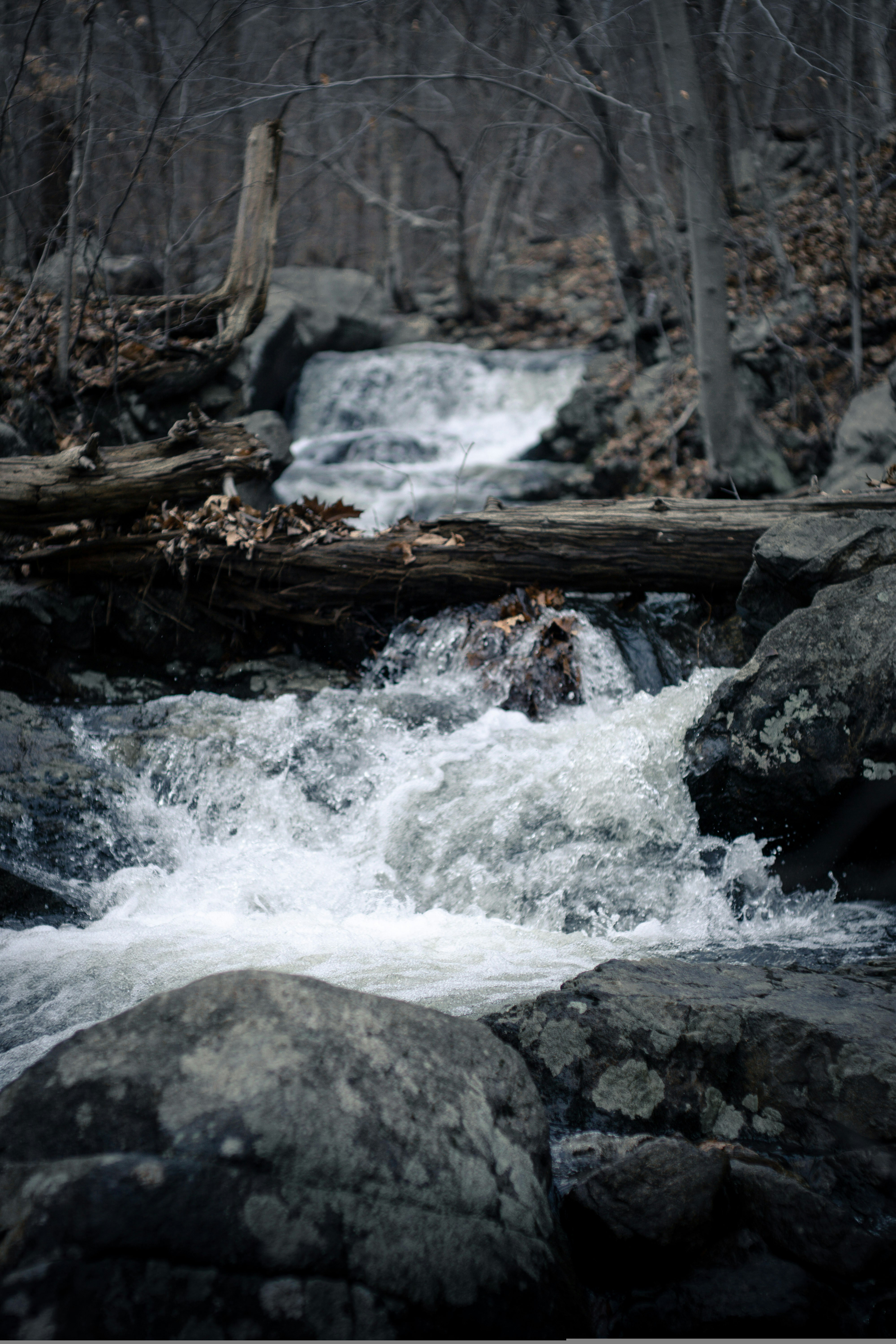 Photo by trytoscareme