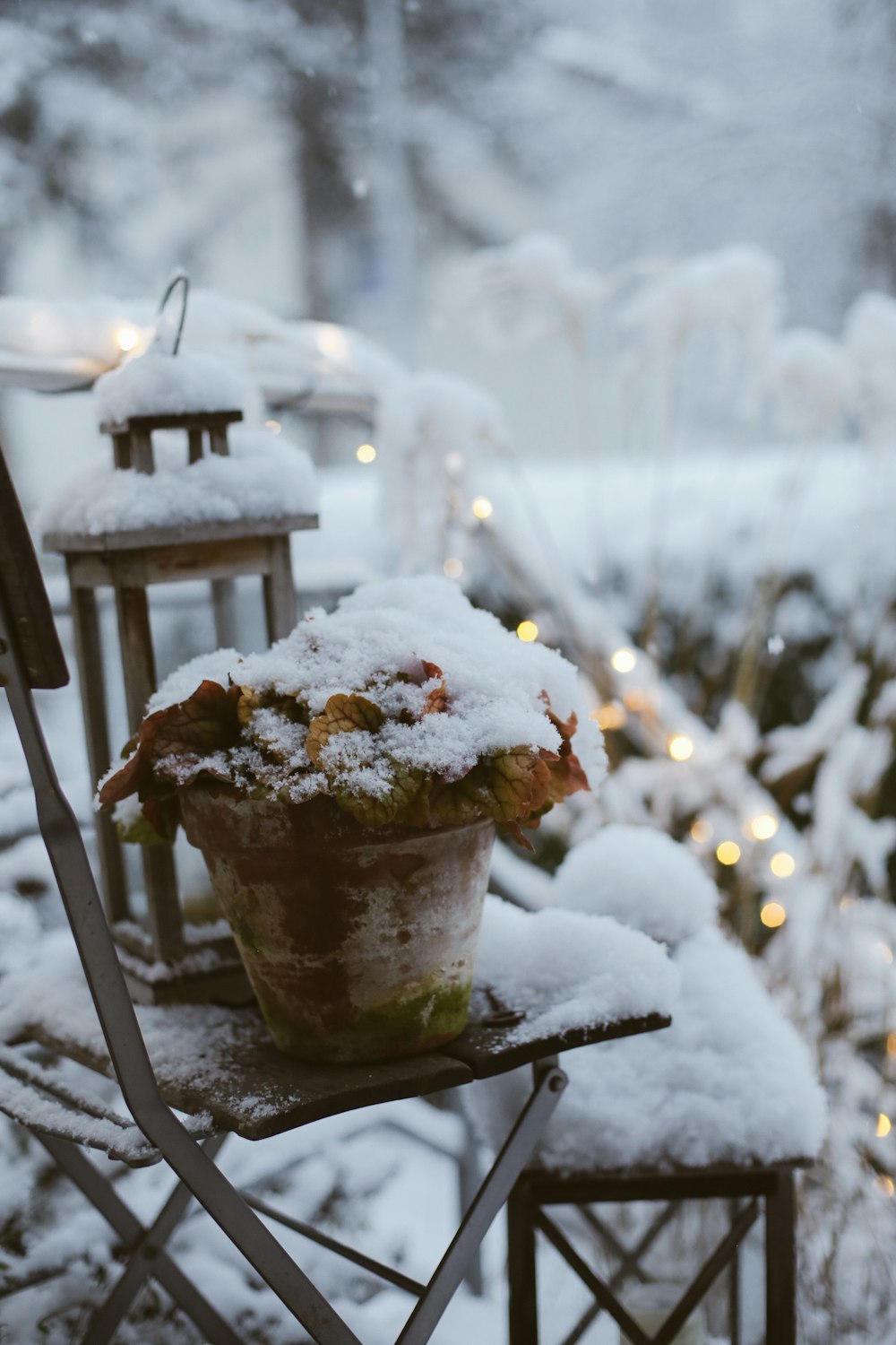 planter and lantern covered with snow outdoor