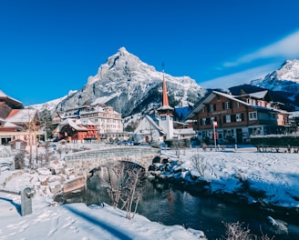 houses covered with snow near the mountain during daytime