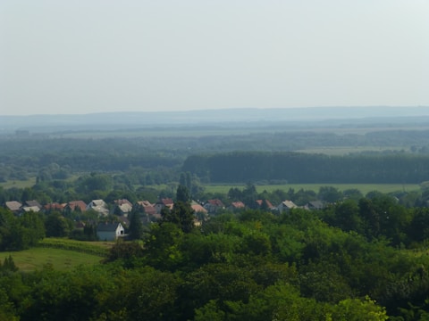 A serene landscape with lush greenery and homes.