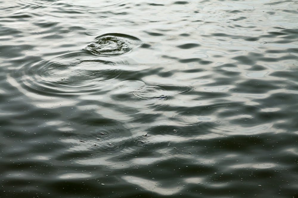 body of water with droplets