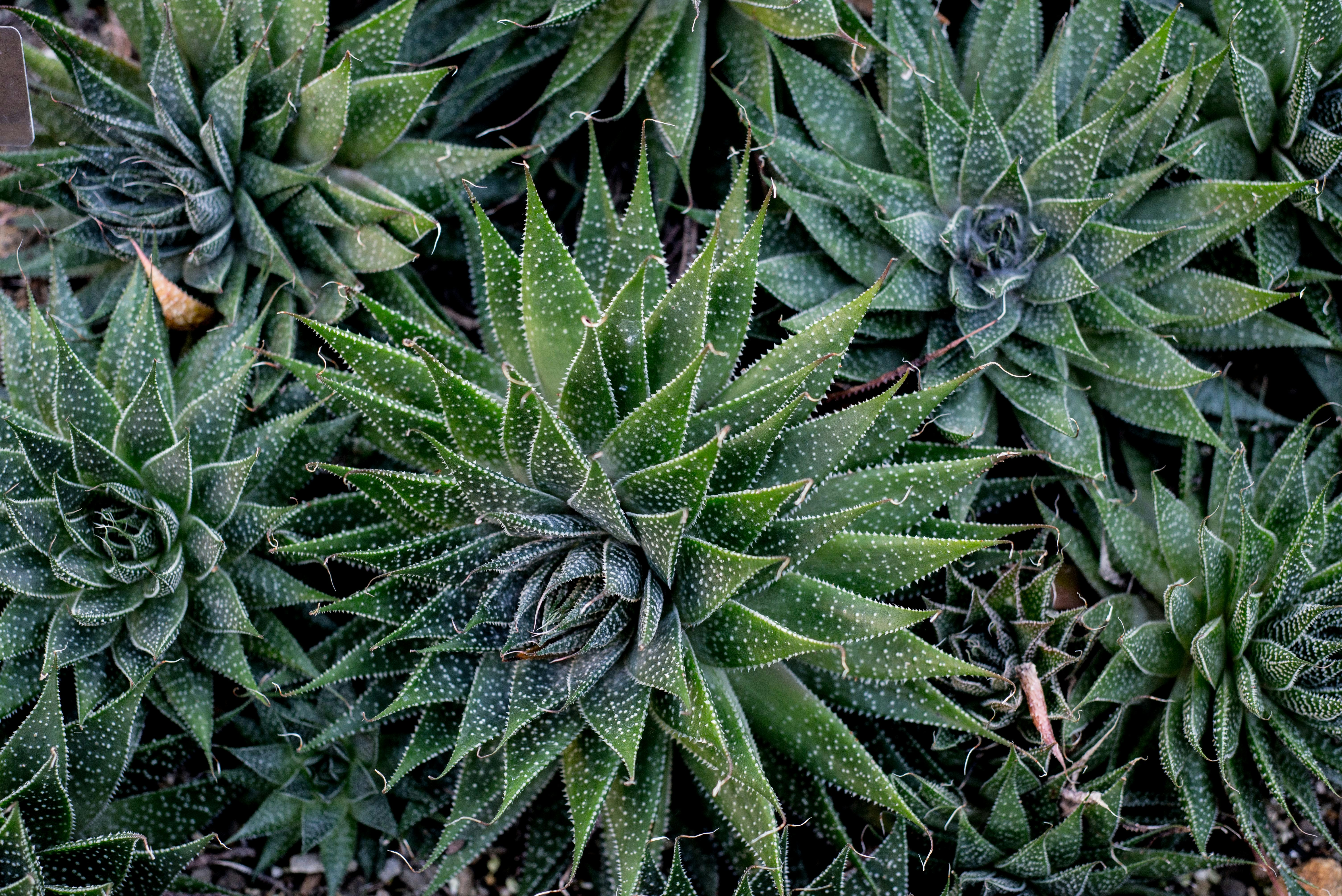 Photo by theamazingdjw