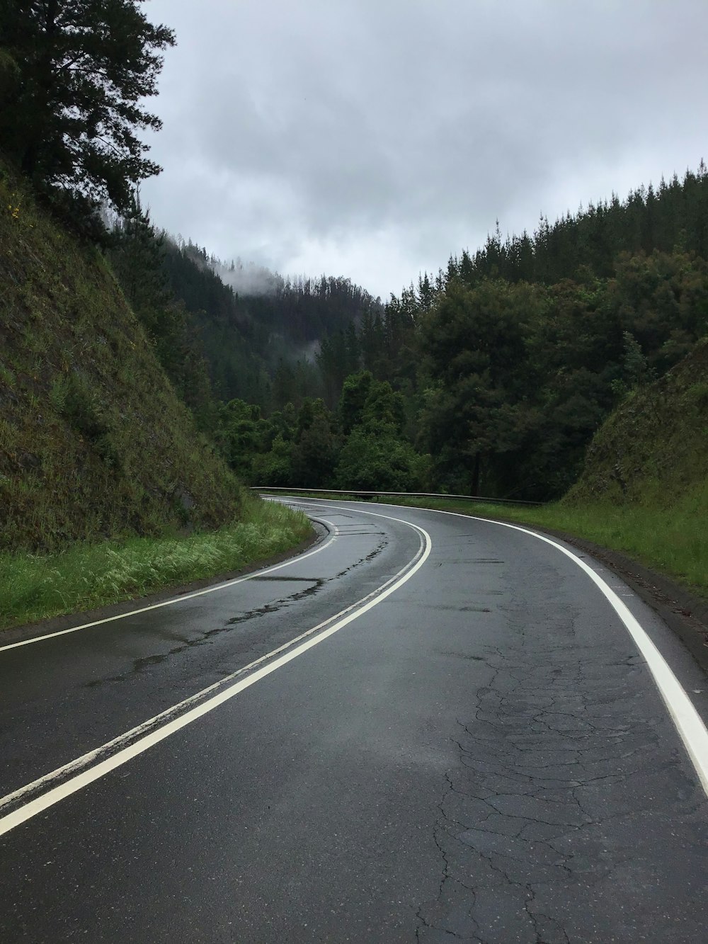 gray pavement road between green trees