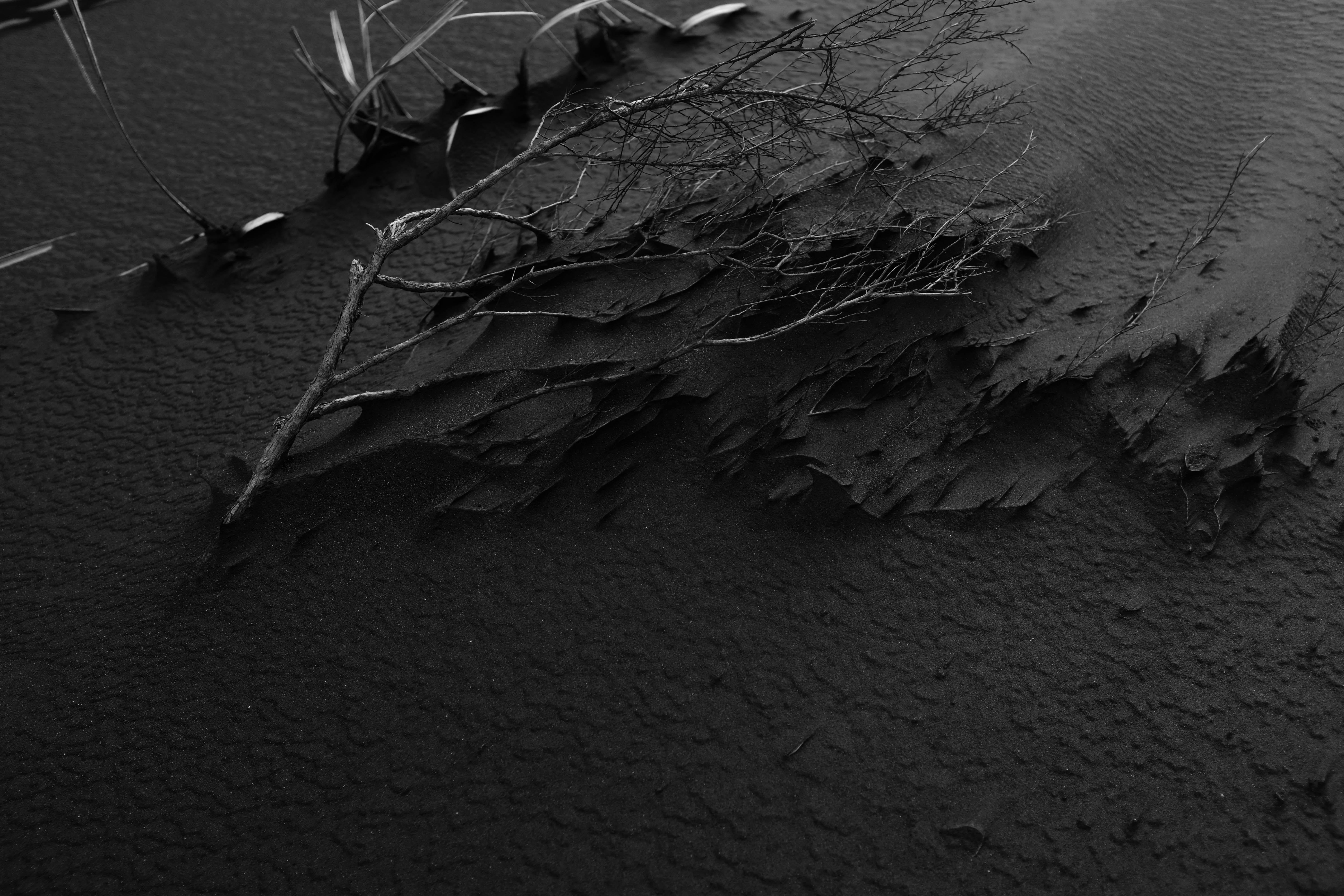 Photo by adrienolichon