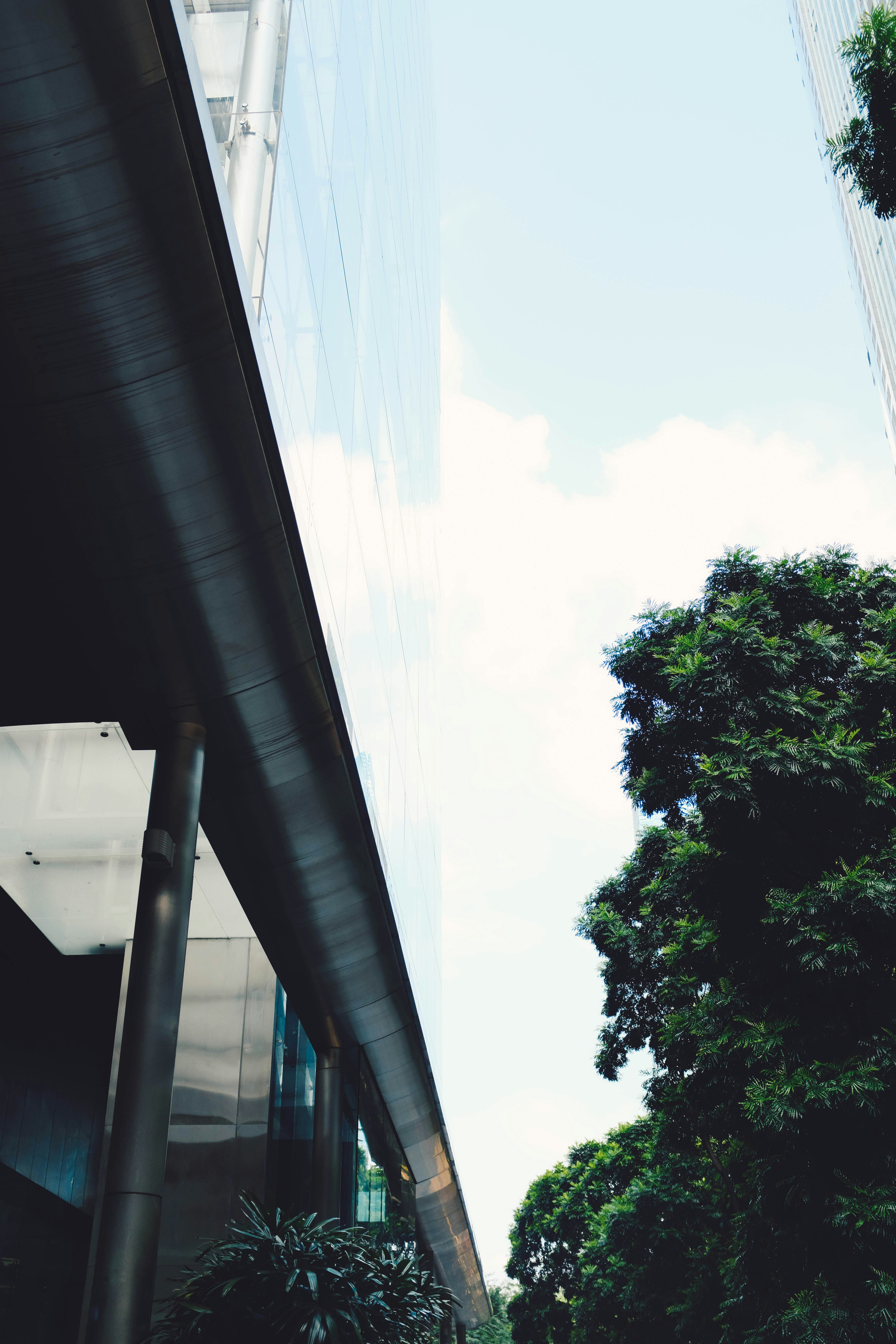 Photo by adrienolichon