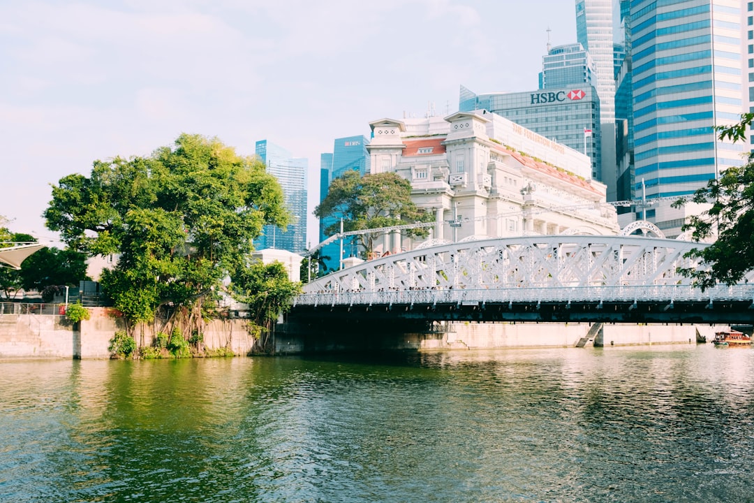 white concrete bridge during daytime