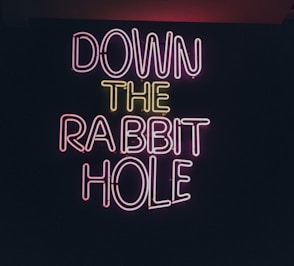 down the rabbit hole sign