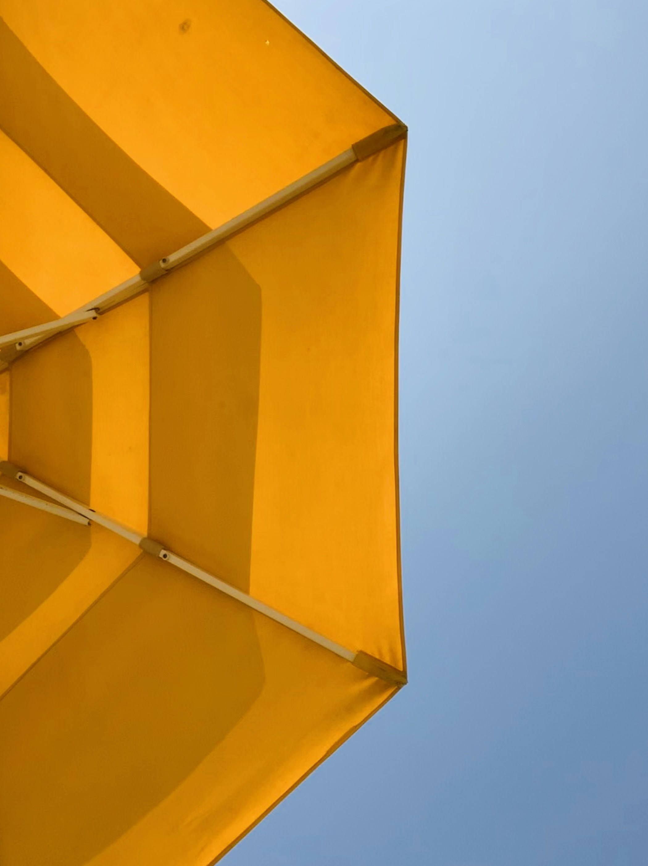 Yellow umbrella photo Free Mumbai Image on Unsplash