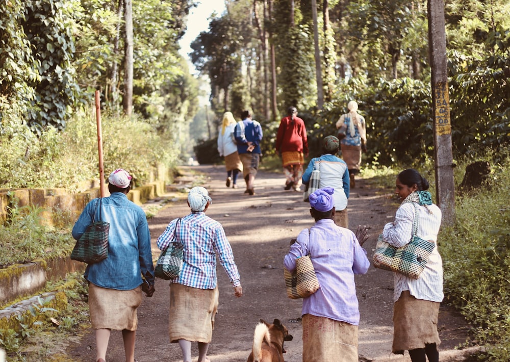 dog between four women walking on farm road