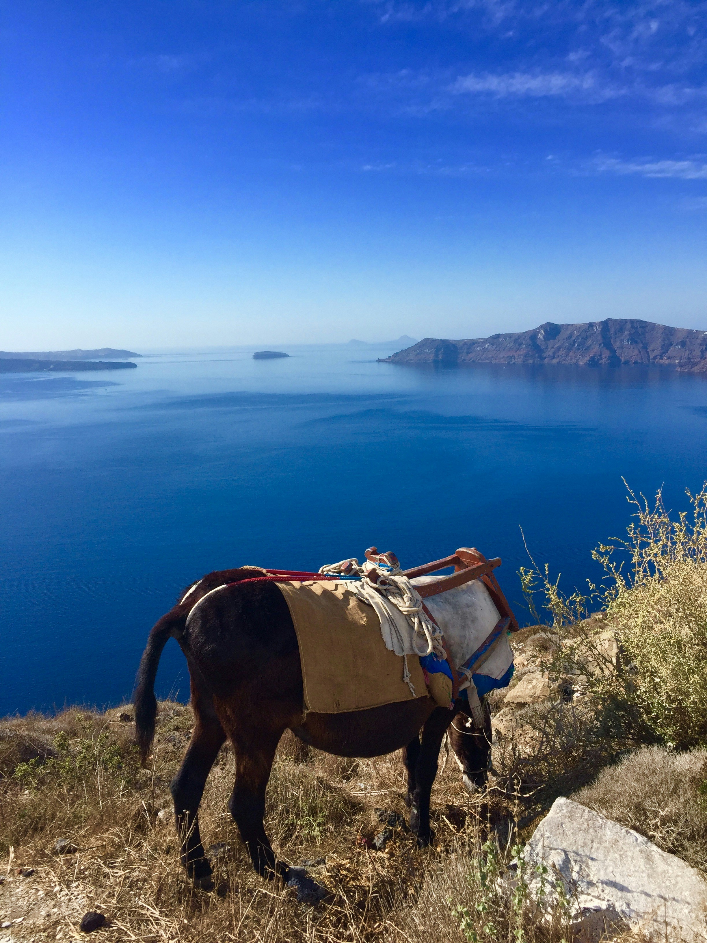 Shoestring — $239–$327 per person per day