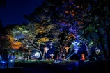 A nighttime scene in a forest with trees illuminated by colorful lights. Ethereal glowing shapes and geometric structures hang from the trees, creating an enchanting and whimsical atmosphere. The ground is dark and a few people are faintly visible, adding to the magical ambiance.
