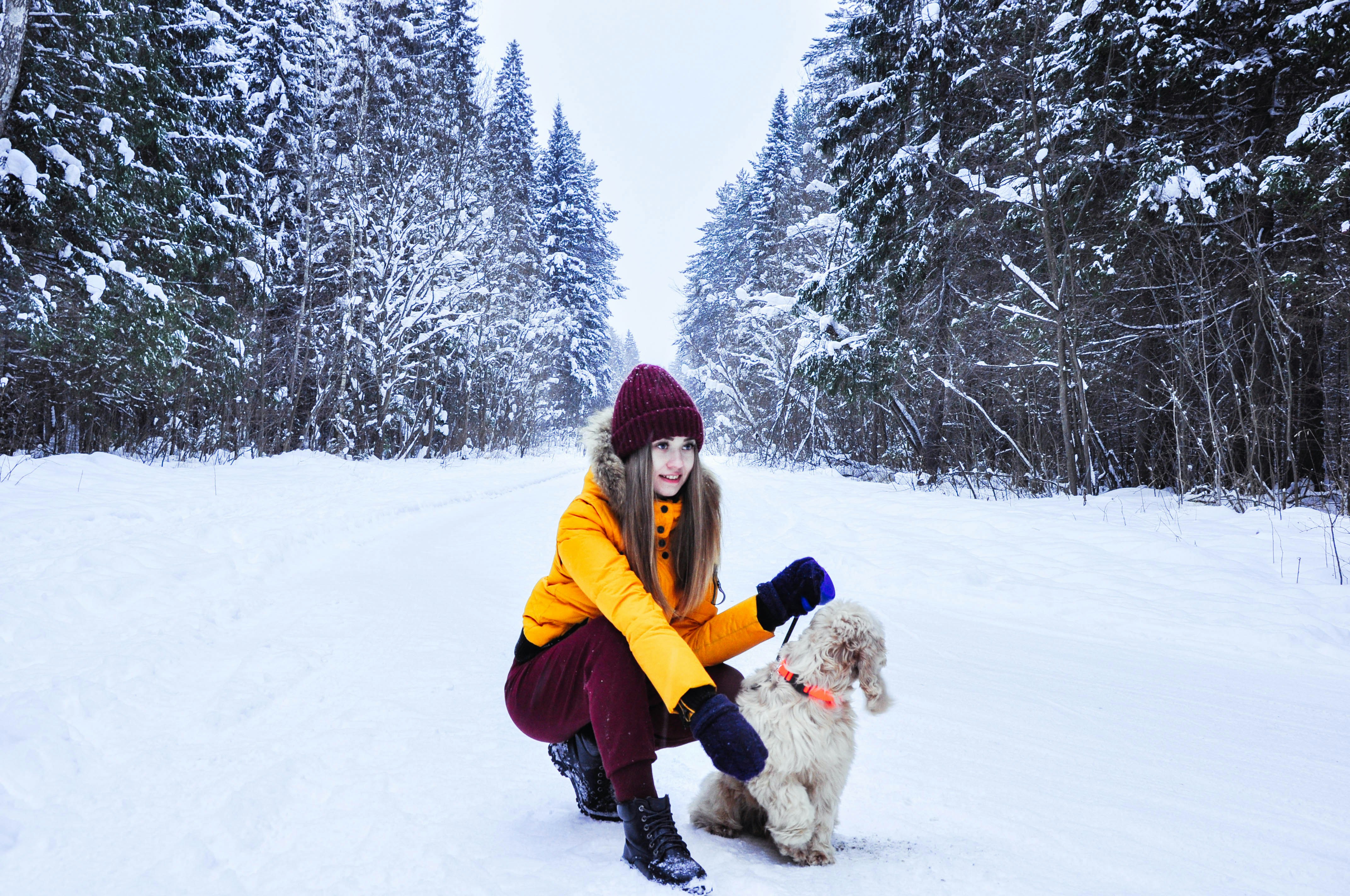 Woman in yellow jacket crouching with a white dog on a snowy forest road