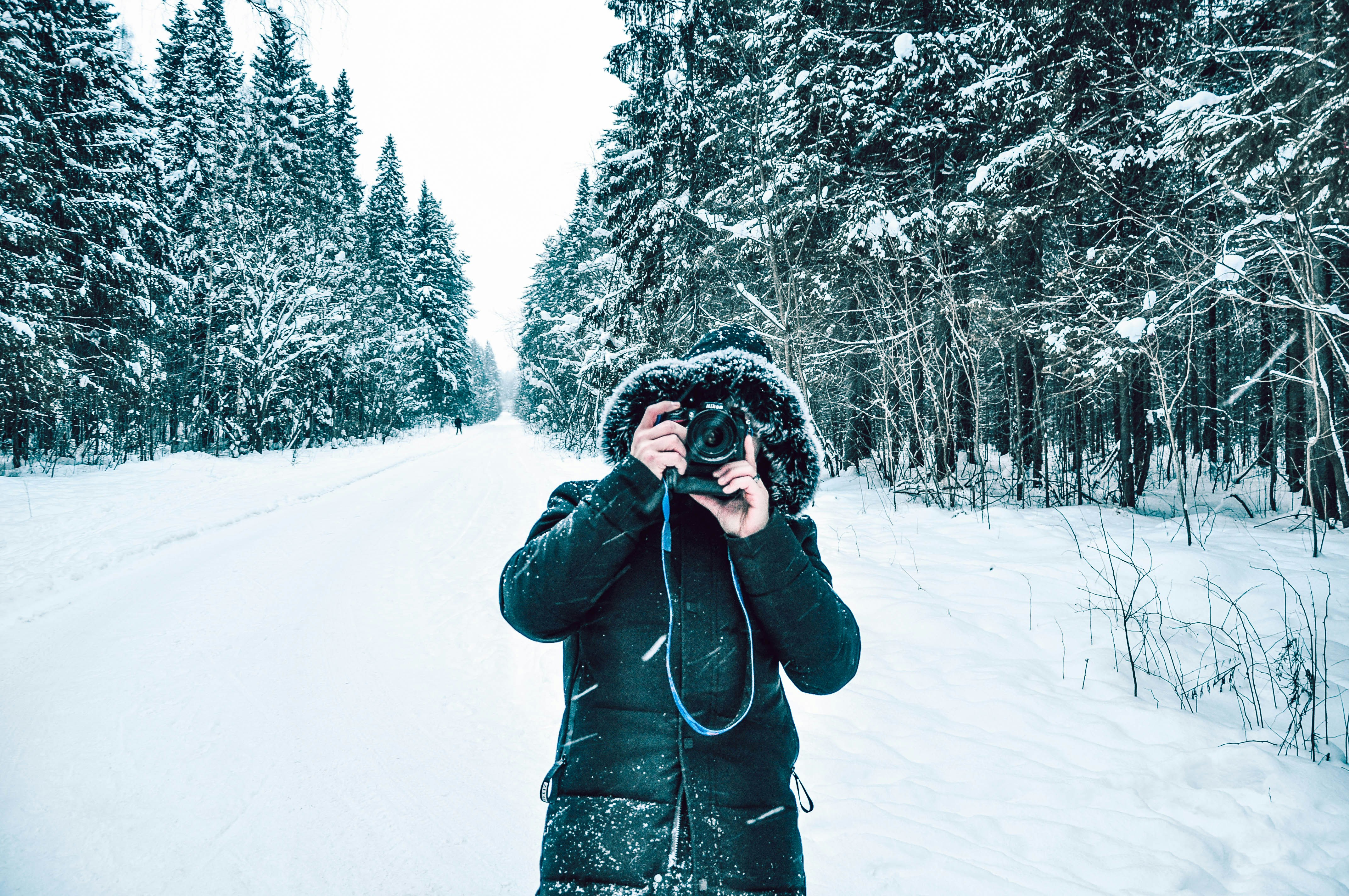 Photo by aleksandr59