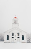 white church surrounded by trees