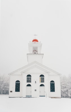 white church surrounded by trees