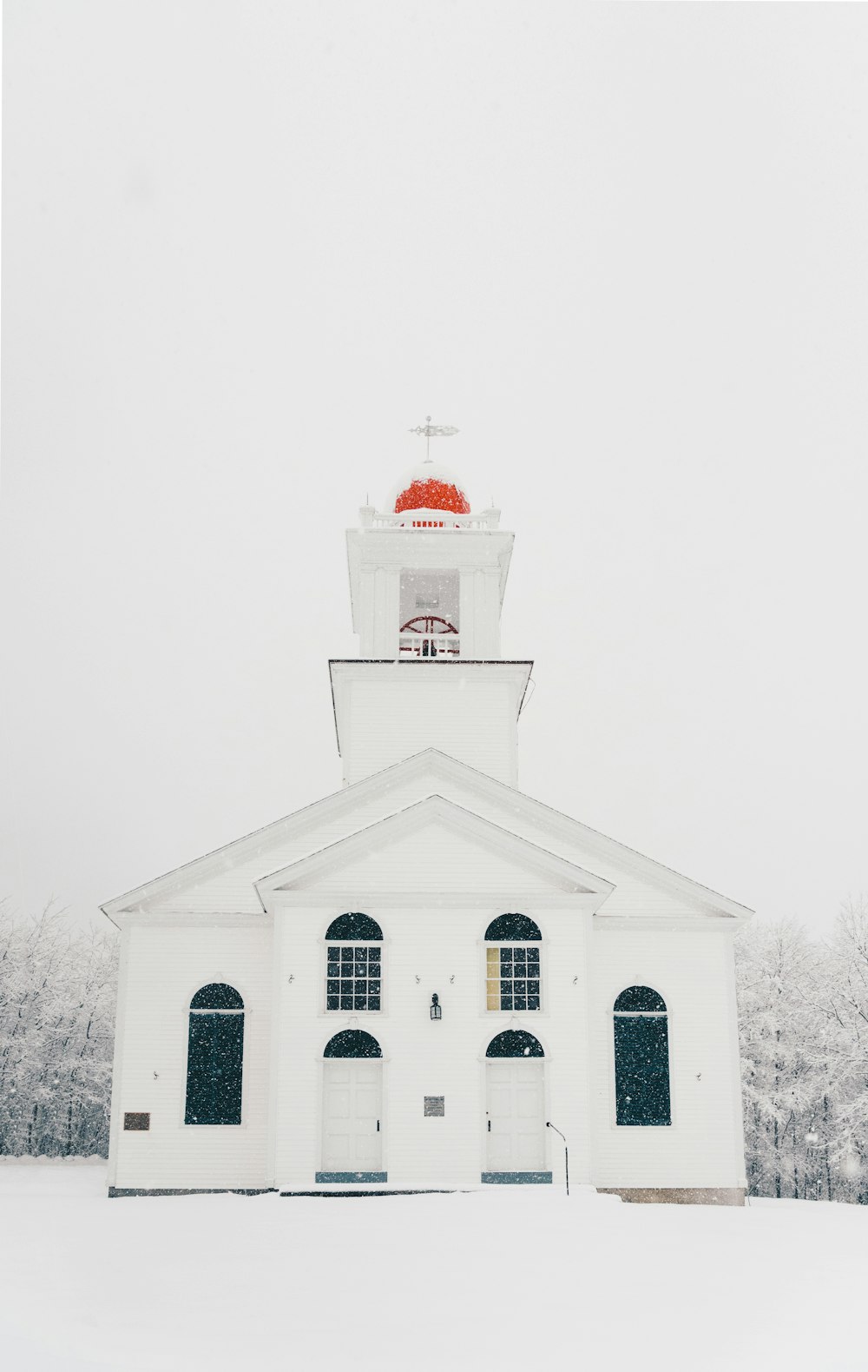 white church surrounded by trees