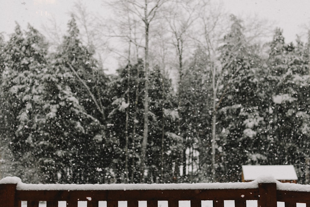 Balcón con árboles afuera cubiertos de nieve