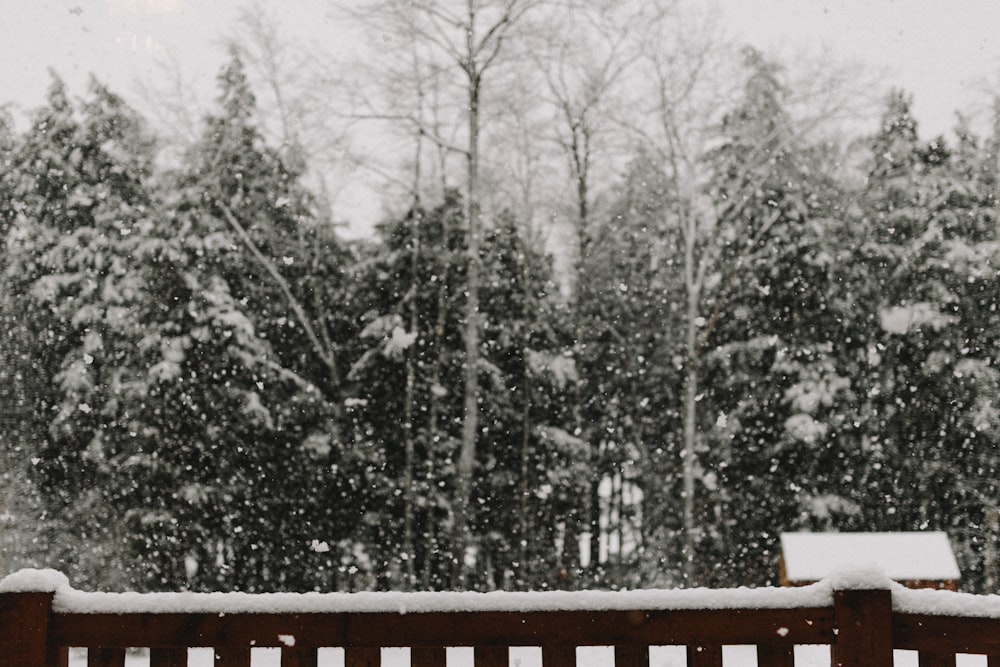 balcony with trees outside covered with snow