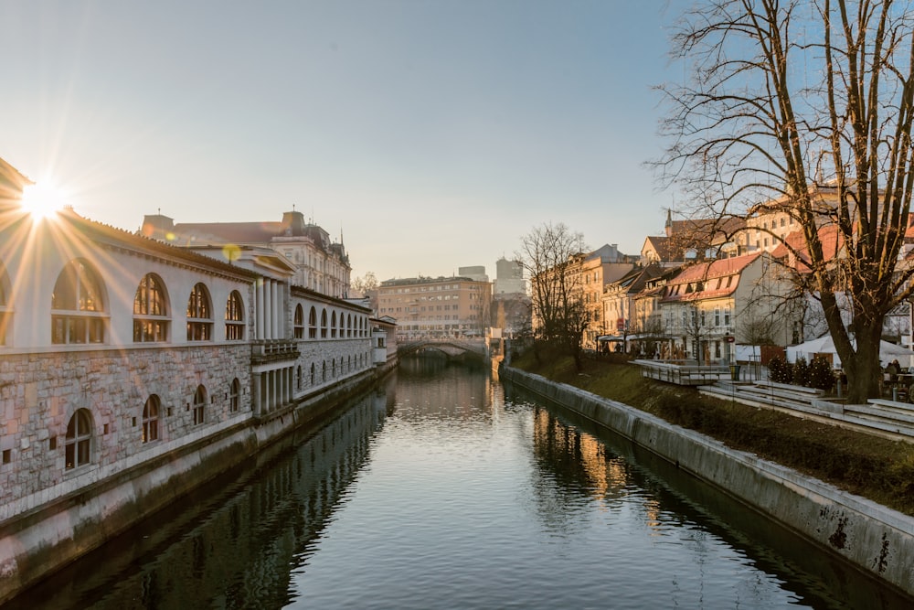 houses near body of water during daytime