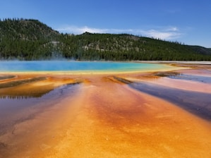 A natural hot spring with vibrant color gradients surrounded by dense forest. The foreground displays deep reddish-orange hues blending into lighter tones, while the spring itself transitions from bright yellow near the edges to deep blue at the center. Steam rises gently above the water, and a clear blue sky stretches overhead, framing lush green trees on rolling hills in the background.