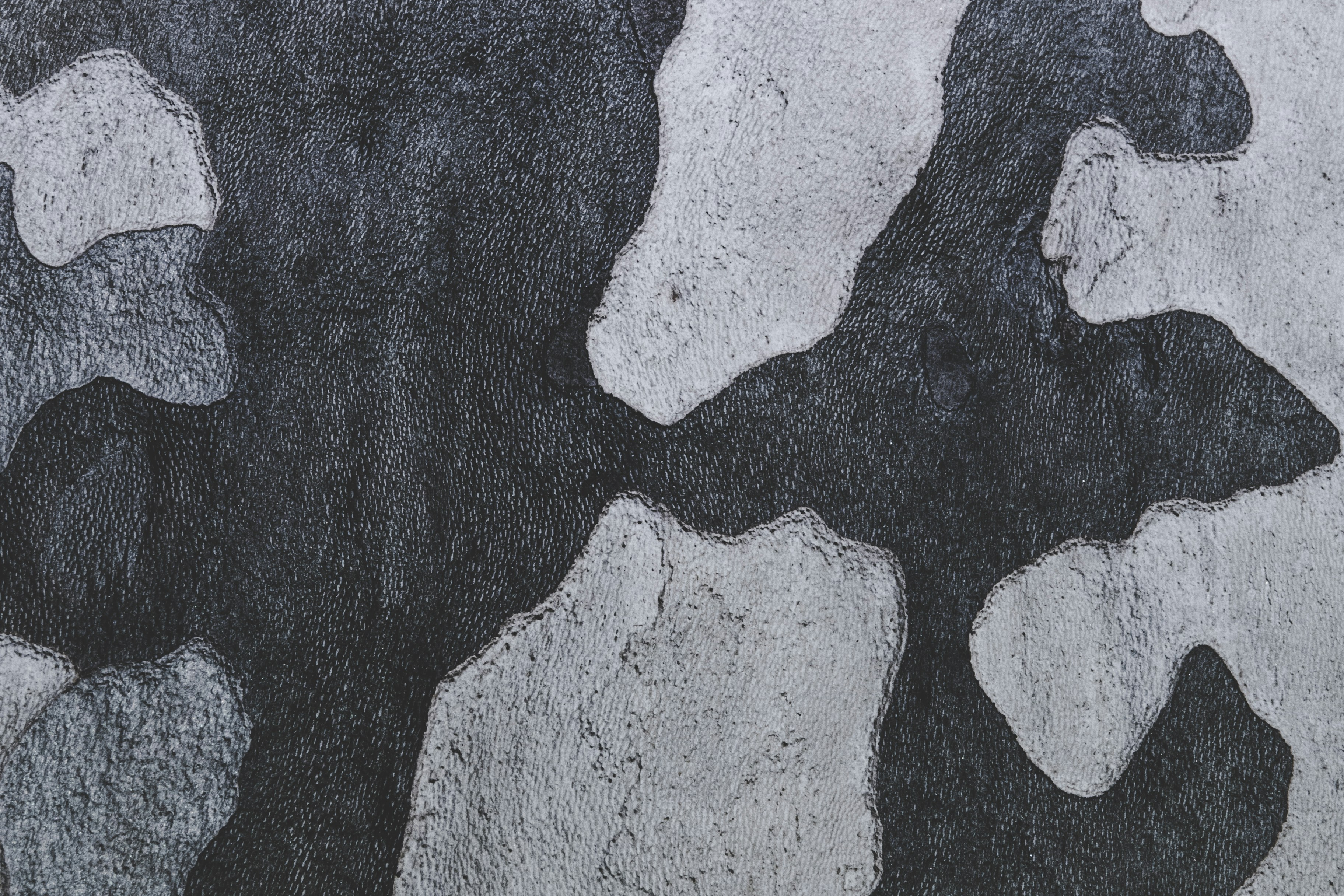 Photo by conti_photos