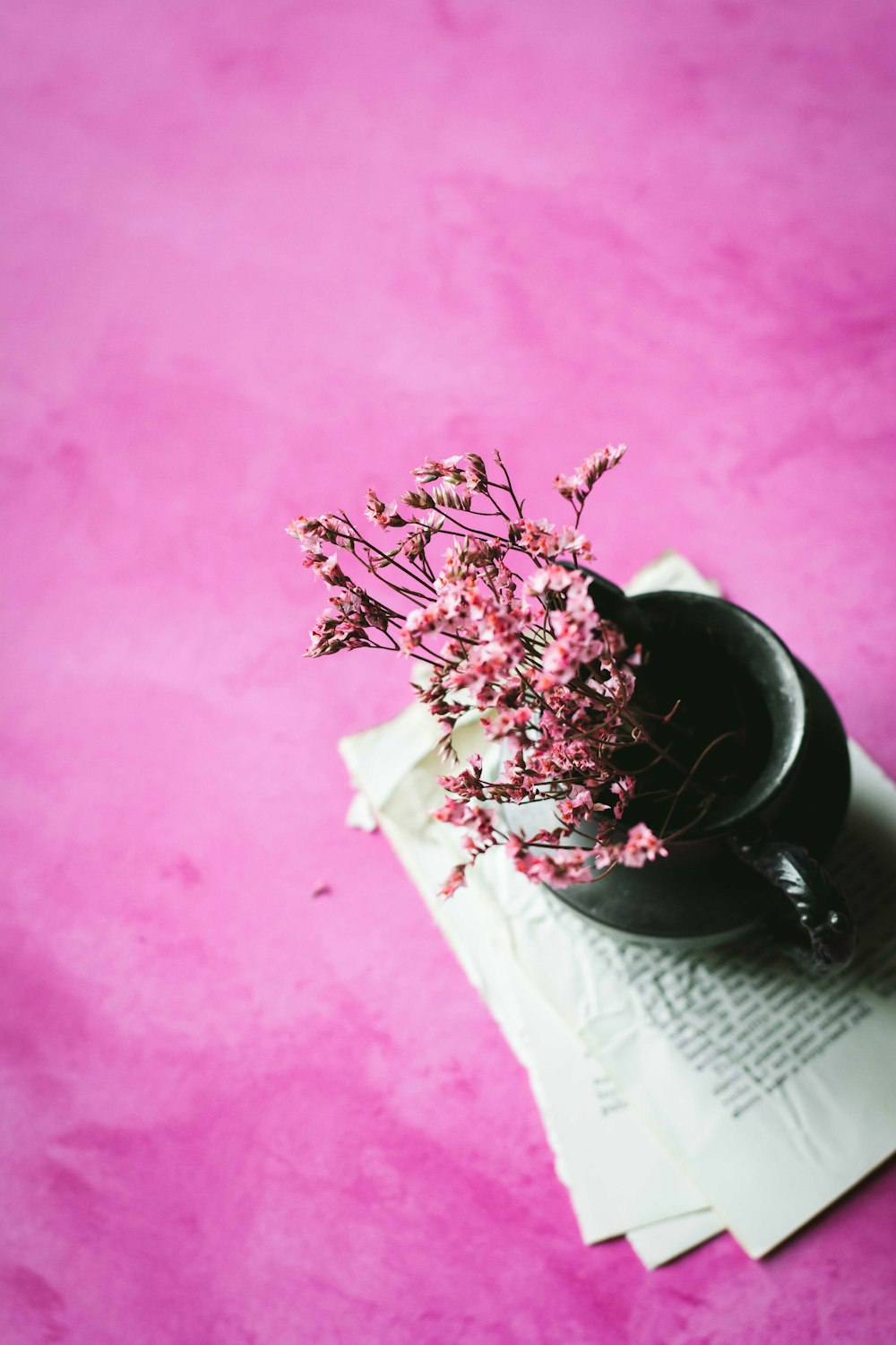 pink petaled flowers on teacup