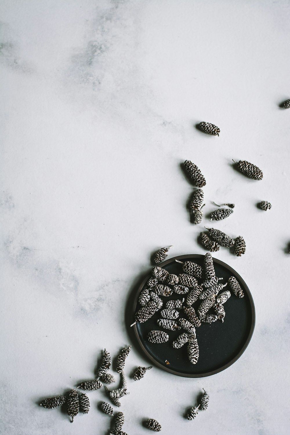 flat-lay photography of seeds