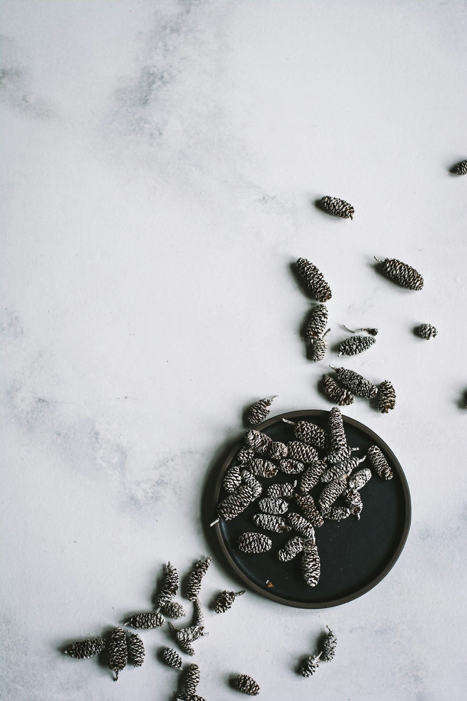 Nikon AF-S Nikkor 50mm F1.8G sample photo. Flat-lay photography of seeds photography