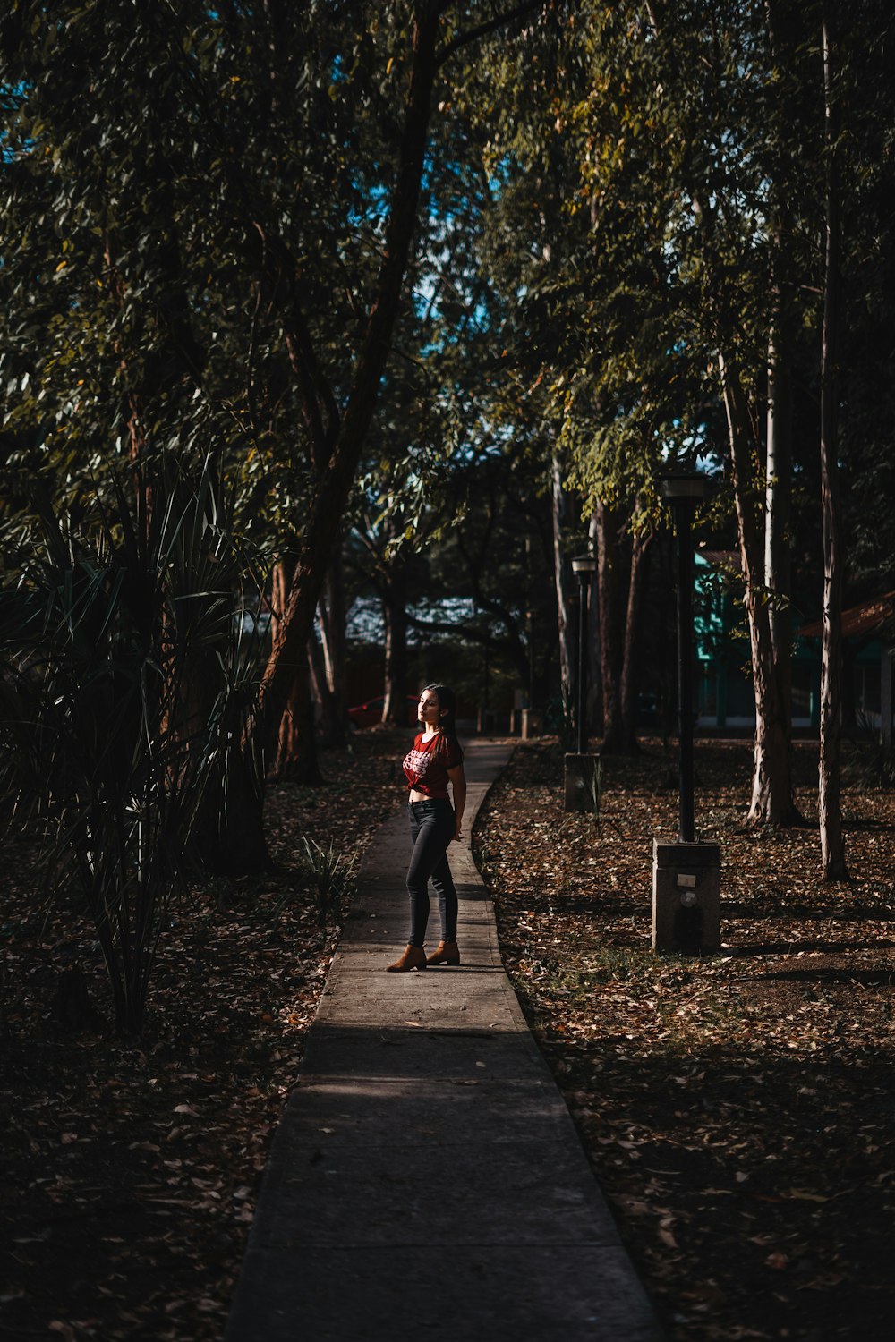 woman surrounded by trees