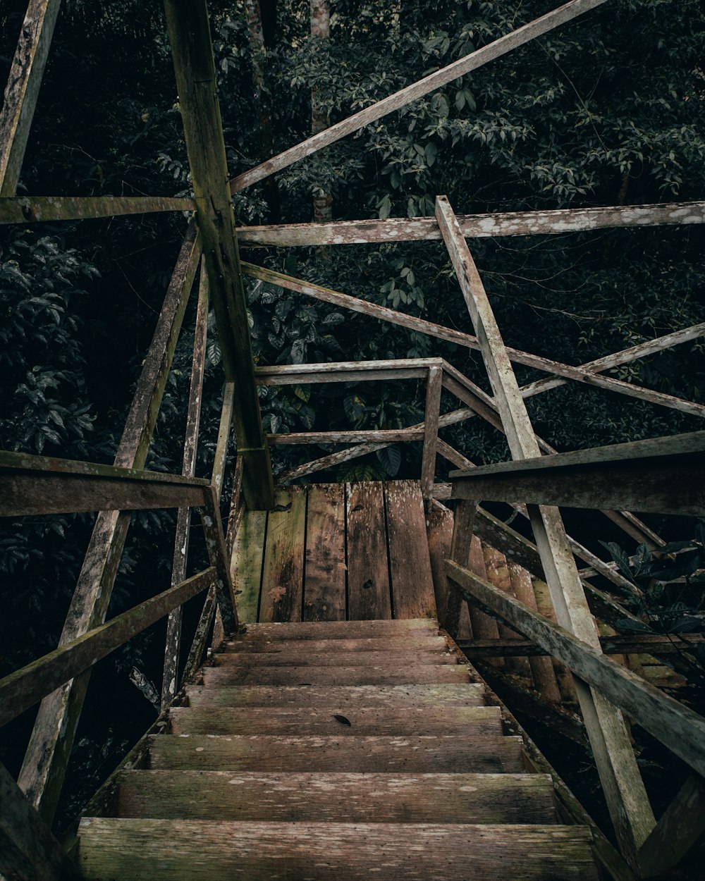 茶色の木製階段