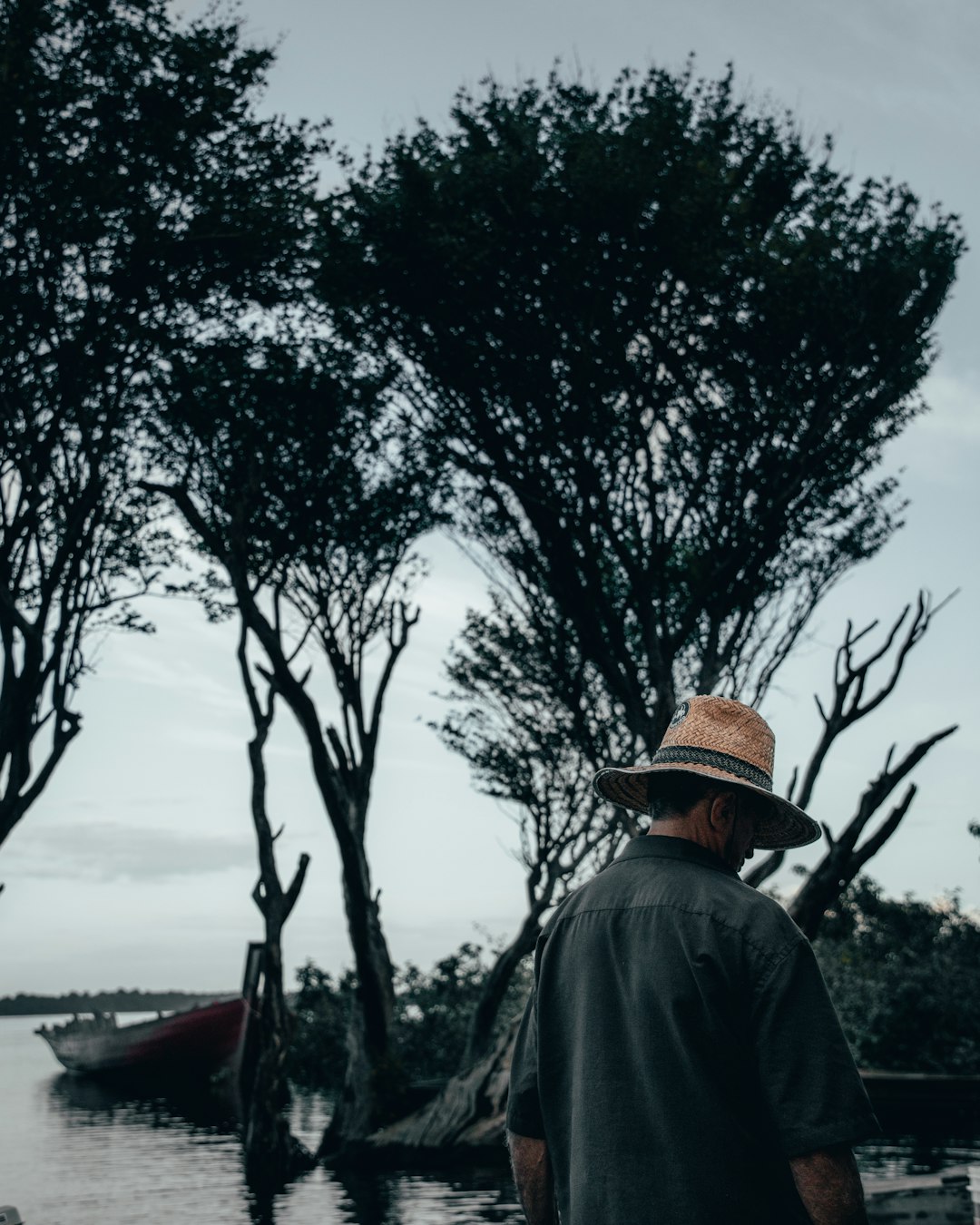 man standing near trees beside sea