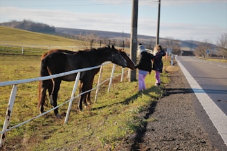 Two children are interacting with a horse through a white fence along a roadside. The scene takes place in a rural area with green fields and distant hills under a clear sky.