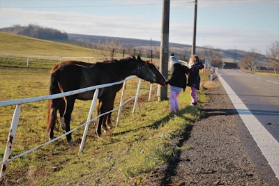 Happy kids petting and feeding horses in a peaceful farm setting surrounded by greenery.