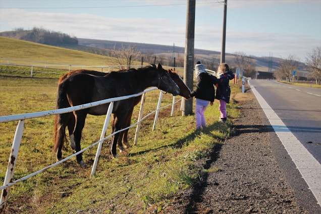 Two children are interacting with a horse through a white fence along a roadside. The scene takes place in a rural area with green fields and distant hills under a clear sky.