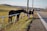 Two children are interacting with a horse through a white fence along a roadside. The scene takes place in a rural area with green fields and distant hills under a clear sky.