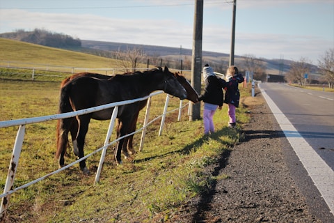Two children are interacting with a horse through a white fence along a roadside. The scene takes place in a rural area with green fields and distant hills under a clear sky.
