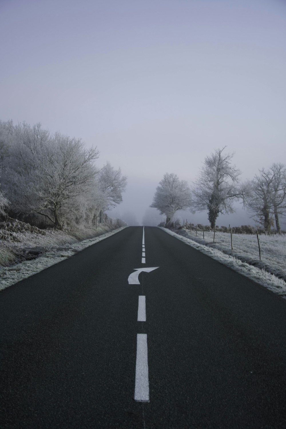 road between trees during daytime